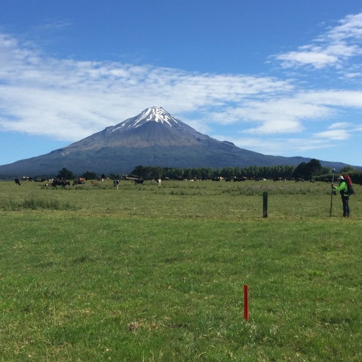 2016 Kapuni 3D Seismic Survey, Taranaki, NZ