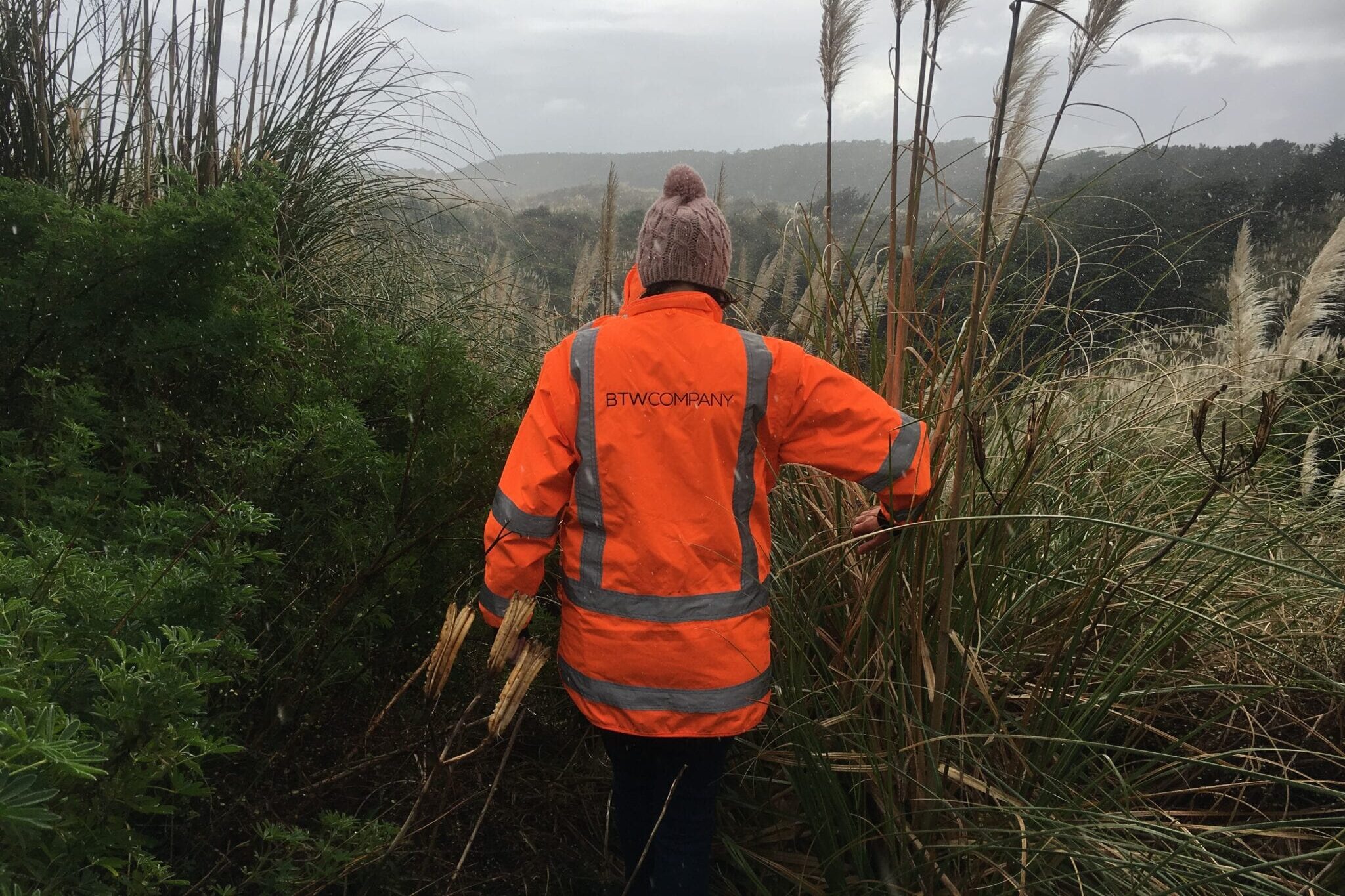 Tainui Kawhia – protecting cultural and environmental assets