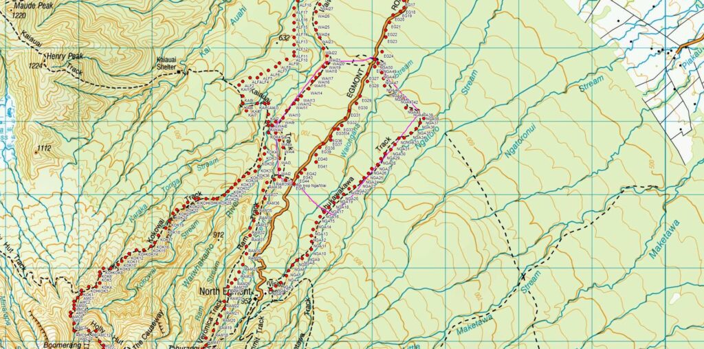 BTW maintain a 8km track of traps on Taranaki Maunga.