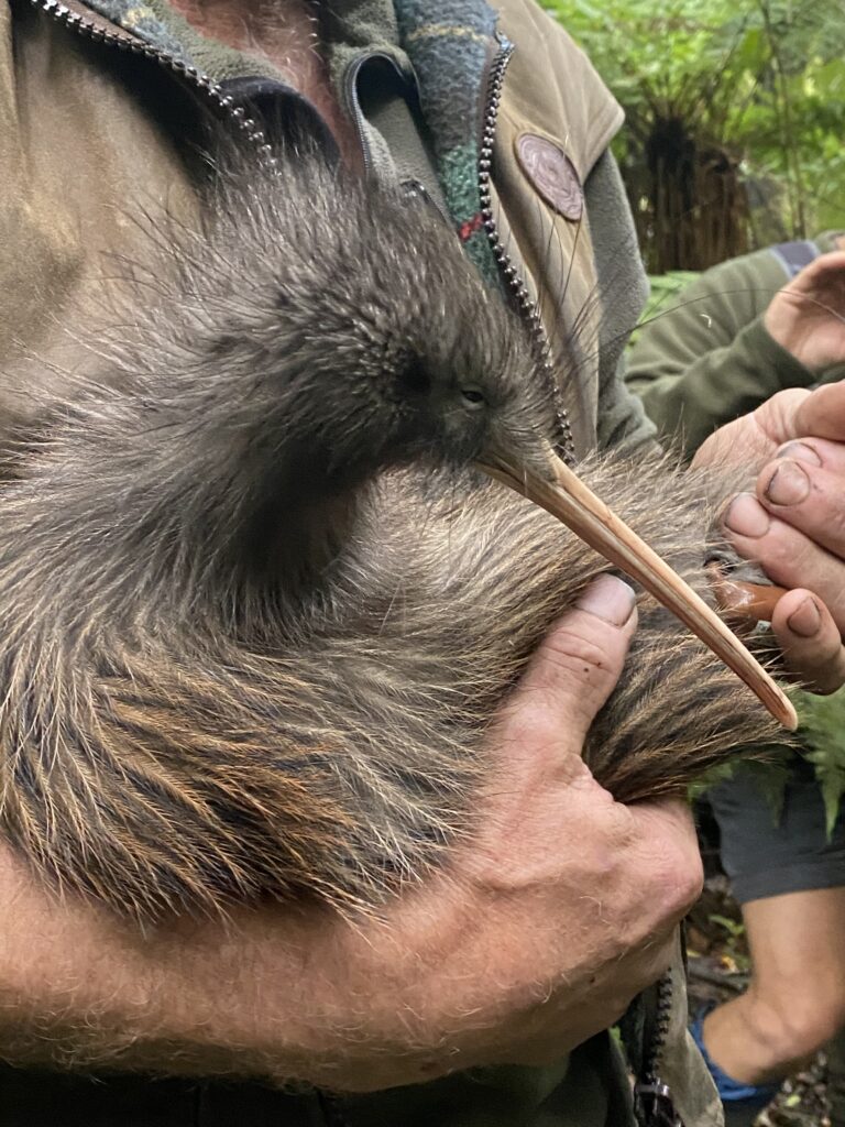 Spring is here, and we’re back on the maunga. - BTW