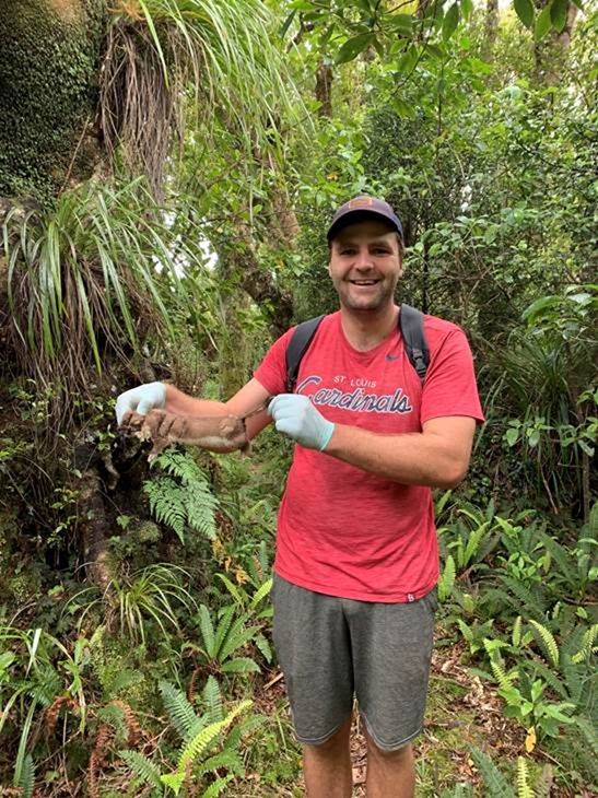 Trap line volunteer work Taranaki Maunga